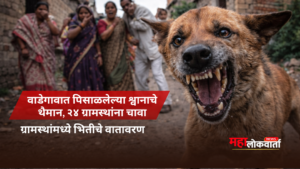 rabid dog attack in Wadegaon