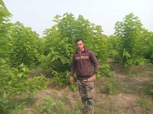 Sericulture success story Wardha farmer
