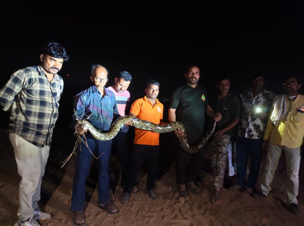 snake rescuer cancer survivor python rescue Maharashtra